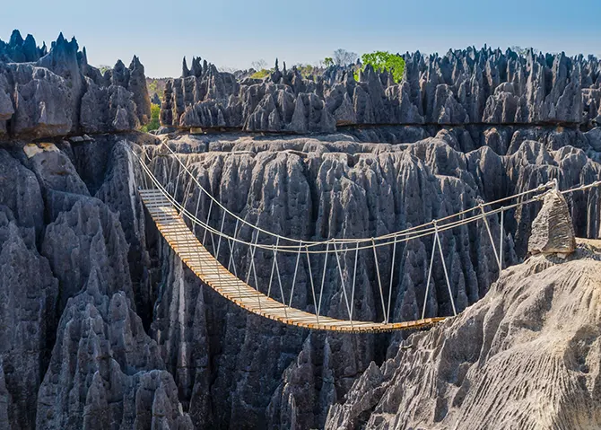 La foret de pierres de Tsingy - Madagascar
