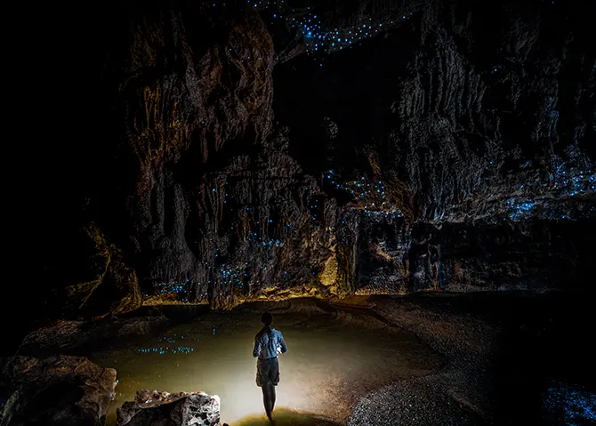 Les grottes de Waitomo -Nouvelle-Zelande